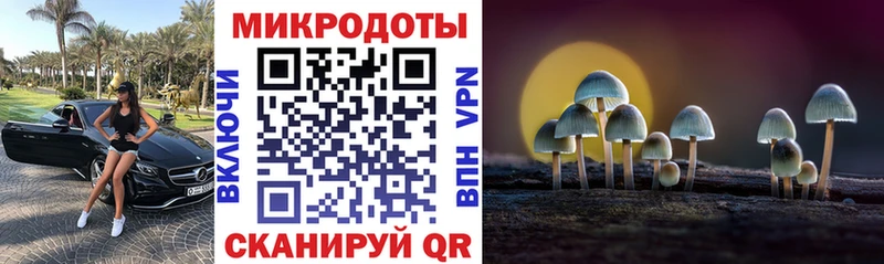 магазин    Алупка  Галлюциногенные грибы Cubensis 